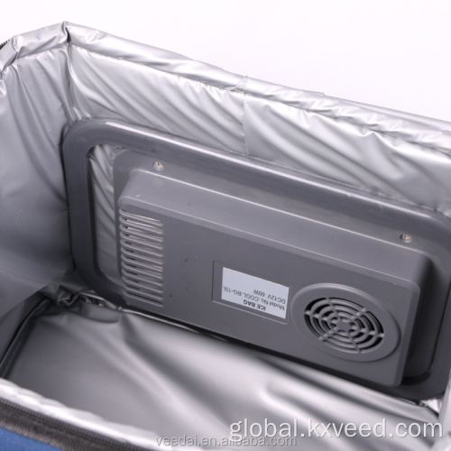 car cooler bag 12v dc freezer bag for drinks and fruits Factory